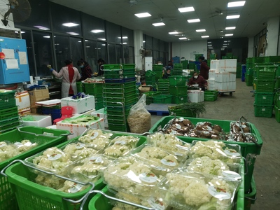 凌晨的繁忙 200吨“菜篮子”高效分拣发运长沙各大商超