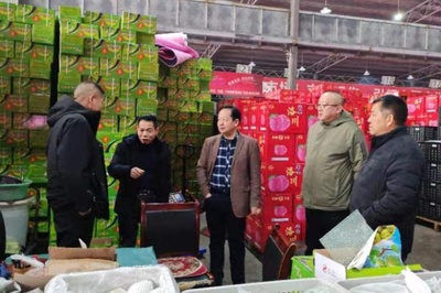 新疆巴州开展“库尔勒香梨”跨区域知识产权保护联合执法行动